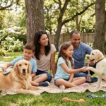 Best Pet Dogs for Families and Beginners